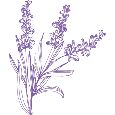 Lavendel